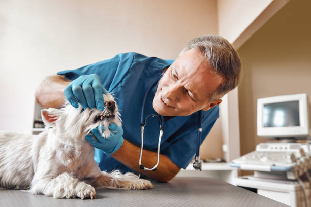 Best Emergency Treatment for Dental Infections or Abscesses in Clinton, LA